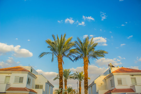 tropic symmetry city view reach villa district photography with two palm trees and house apartments, blue sky background  