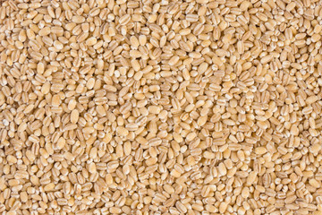 pearl barley texture background. nutrition. bio. natural food ingredient.