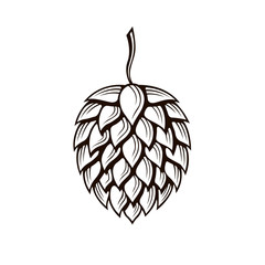 hop cone icon for brewing isolated on white background