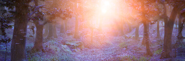 magic forest at sunrise, sunshine in beautiful landscape, banner format