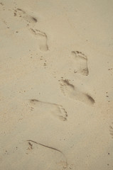 Road and path. Footprints Summer and vacation time.