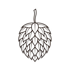 hop cone icon for brewing isolated on white background