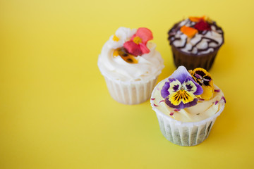 set of delicious cupcakes with different fillings and cream. Three muffin's with cream