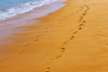 Most popular golden unawatuna beach on sri lanka