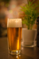 Glass of light beer on a dark pub