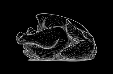 Whole chicken vector drawing illustration. Side view. Raw fresh meat. Isolated vector logo. For shop,  farm, butcher, poultry. Illustration.