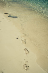 Road and path. Footprints Summer and vacation time.