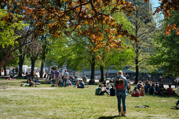 Young people on meadow in park on a sunny, summer day in Berlin