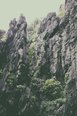 The underground river Palawan. Beautiful and interesting place.