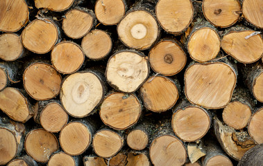 A woodpile of fresh, natural freshly cut and chopped wood.