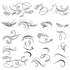 Fototapeta premium Collection of vector vintage calligraphic flourishes for design