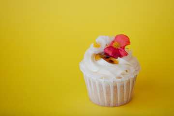 Sweet dessert on pink background, copy space. Cupcake with cream, beautiful and delicious.