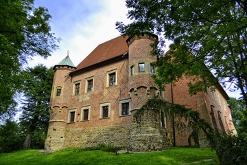 Fototapeta na wymiar Zamek w Dębnie w Małopolsce