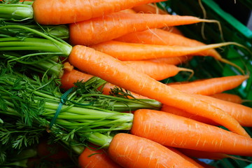 Fresh carrots for sale at a farmers market