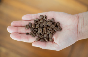 Eine ganze Hand voller Kaffeebohnen