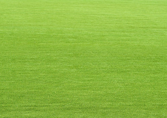 Natured green grass field texture backdrop background