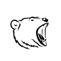 Grizzly bear - isolated