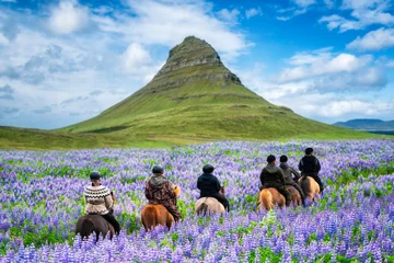 Fototapete Rund Reiten Touristisches Reitpferd bei Kirkjufell Berglandschaft und Wasserfall im isländischen Sommer. Kirjufell ist das wunderschöne Wahrzeichen und das meistfotografierte Reiseziel, das Menschen anzieht, Island zu besuchen.  © InfiniteFlow