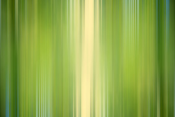 green gradient background / abstract blurry fresh green background