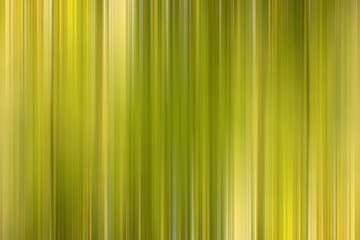Fototapeta premium green gradient background / abstract blurry fresh green background
