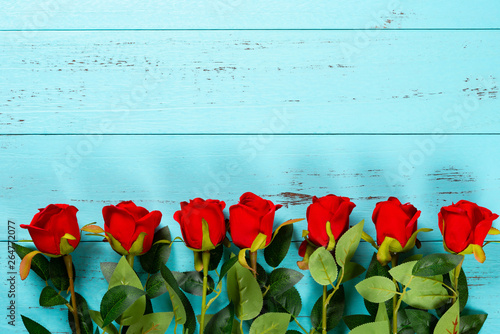 roses line up on blue wood background with copy space