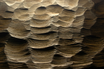 Carved wood waves texture, background. Raw carved wooden surface as abstract background. Wooden back-lit sea waves.