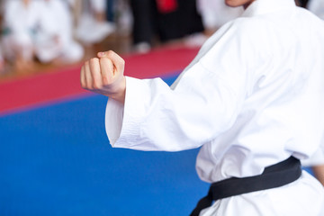 Karate practitioner body position during training. Martial arts. © wellphoto