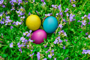 easter eggs lie on the blooming juicy grass on sunday morning