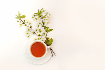 cup with tea and a blooming twig of cherry