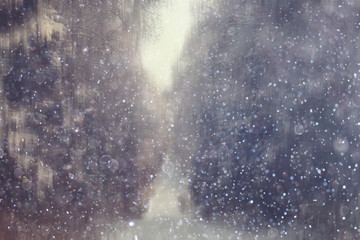 forest snow blurred background / winter landscape snow-covered forest, trees and branches in winter weather