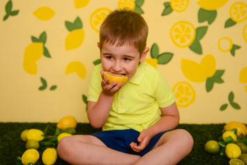 The boy sits and eats lemons and limes, smiles and twists from citrus acid