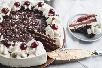 German, delicious Black Forest cake, with a delicate white cream, cherries in alcohol and dark...