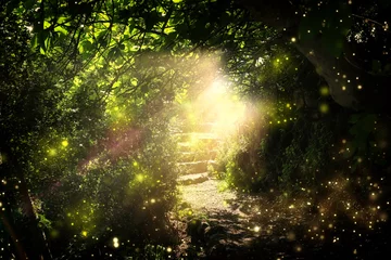  Road and stone stairs in magical and mysterious dark forest with mystical sun light and firefly. Fairy tale concept © tomertu