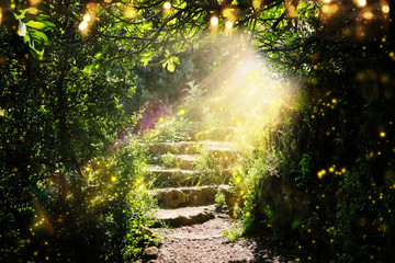 Weg- en stenen trappen in magisch en mysterieus donker bos met mystiek zonlicht en vuurvlieg. Sprookjesconcept