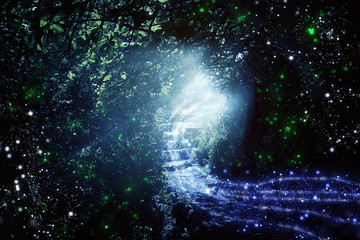 Road and stone stairs in magical and mysterious dark forest with mystical sun light and firefly. Fairy tale concept