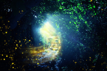 Obraz na płótnie Canvas Road and stone stairs in magical and mysterious dark forest with mystical sun light and firefly. Fairy tale concept