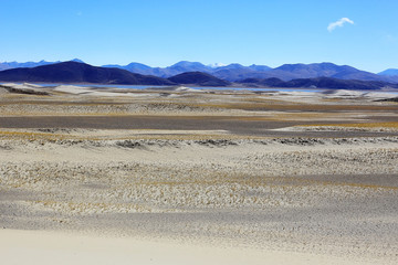 texture desert land sand dunes barkhans, deserts