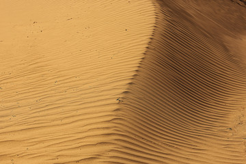 texture desert land sand dunes barkhans, deserts