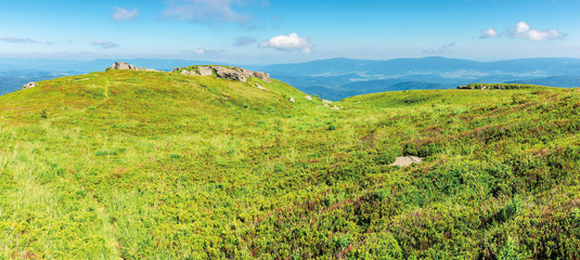 panoramic mountain landscape in summertime. green grassy hills with bunch of rocks in the distance. path through the meadow. sunny weather with fluffy clouds on a blue sky