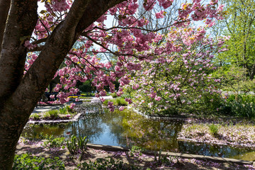Der Park Planten un Blomen in Hamburg