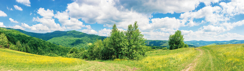beautiful summer countryside in mountains. wonderful panoramic scenery on a sunny day. country road through rural fields. hills and mountains in the distance. blue sky with fluffy clouds