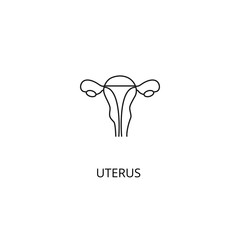 Uterus organ of the human body vector icon, outline style, editable stroke