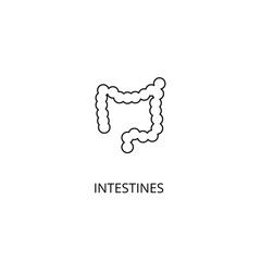 Intestines organ of the human body vector icon, outline style, editable stroke