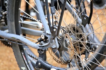 Fototapeta premium wheel of motorcycle