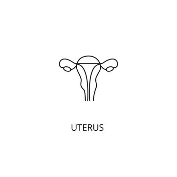 Uterus organ of the human body vector icon, outline style, editable stroke