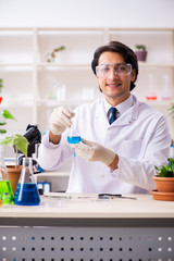 Fototapeta premium Biotechnology chemist working in lab