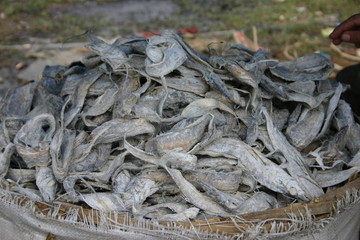 fish