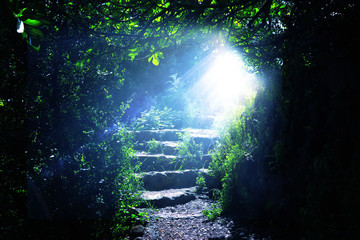 Road and stone stairs in magical and mysterious dark forest with mystical sun light. Fairy tale...