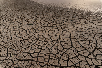 dry chapped gray soil with deep cracks; drying up lake