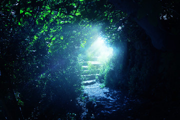 Obraz na płótnie Canvas Road and stone stairs in magical and mysterious dark forest with mystical sun light. Fairy tale concept
